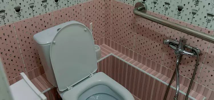 Meeting Diverse Needs With Accessible Restroom Solutions in Tukwila, WA